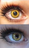 Lente Princess Pinky Twilight Brown