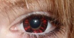 Lente VASSEN FOREST RED