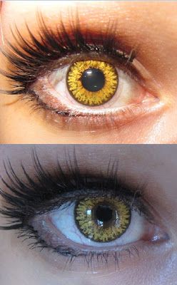 Lente Princess Pinky Twilight Brown