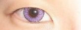 Lente Fairy Violet