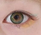 Lente VASSEN BIG PUFFY GREEN
