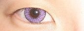 Lente Fairy Violet